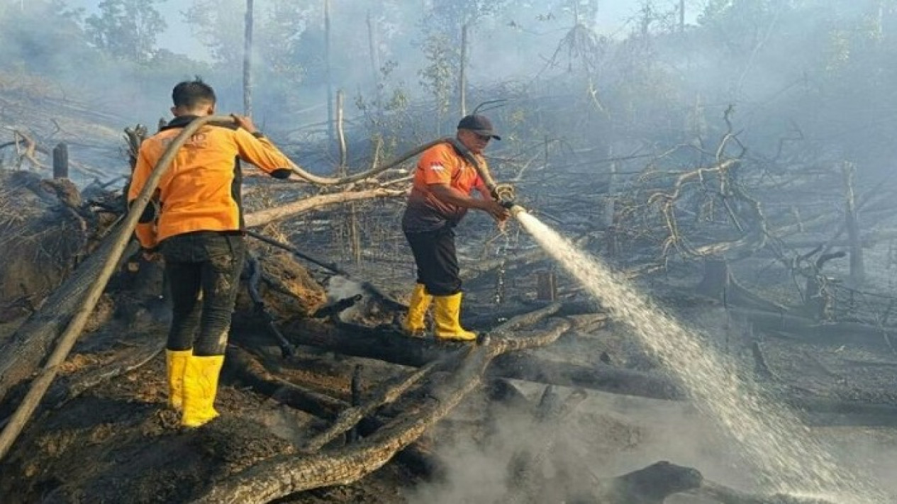 Memilukan, Kondisi Kalimantan Timur Saat Ini, 154 Titik Panas Indikator Awal Karhutla Terpantau
            - galeri foto