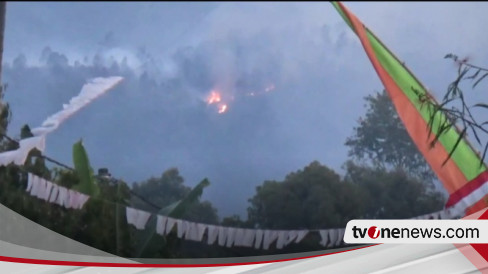 Hektar Hutan Lindung Lereng Gunung Lawu Di Ngawi Terbakar