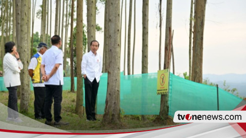 Presiden Joko Widodo Akan Melakukan Peletakan Batu Pertama Pembangunan Sejumlah Infrastruktur di IKN