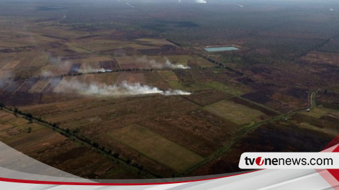 Pantauan Udara Karhutla Di Kalimantan Selatan, BNPB: Titik-titik Api ...