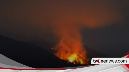 Kebakaran Di Gunung Lawu, Lebih Dari 30 Hektar Lahan Hangus Terbakar