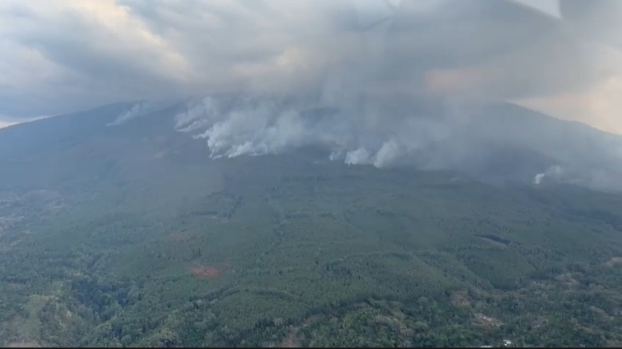 1100 Hektar Hutan Lindung Gunung Lawu Terbakar, Polisi Buru Pelaku ...