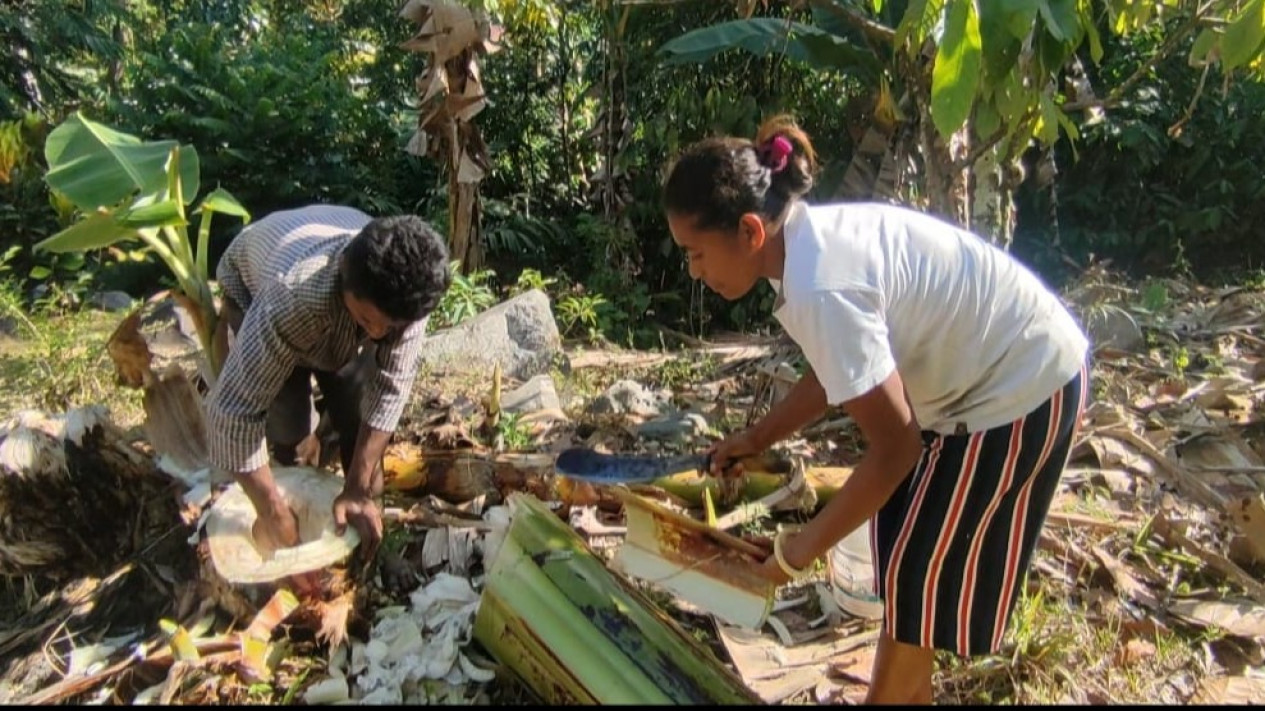 Tidak Mampu Beli Air Tangki, Warga di NTT Terpaksa Minum Air Batang Pisang
            - galeri foto