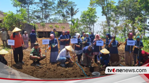 Dukung Petani Indonesia, PNM Beri 10.000 Lebih Bibit Unggul Untuk Panen