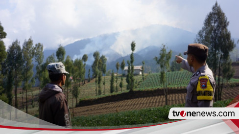 Karhutla Kembali Terjadi Di Jalur Pendakian Gunung Semeru Diduga Dampak Kemarau Panjang