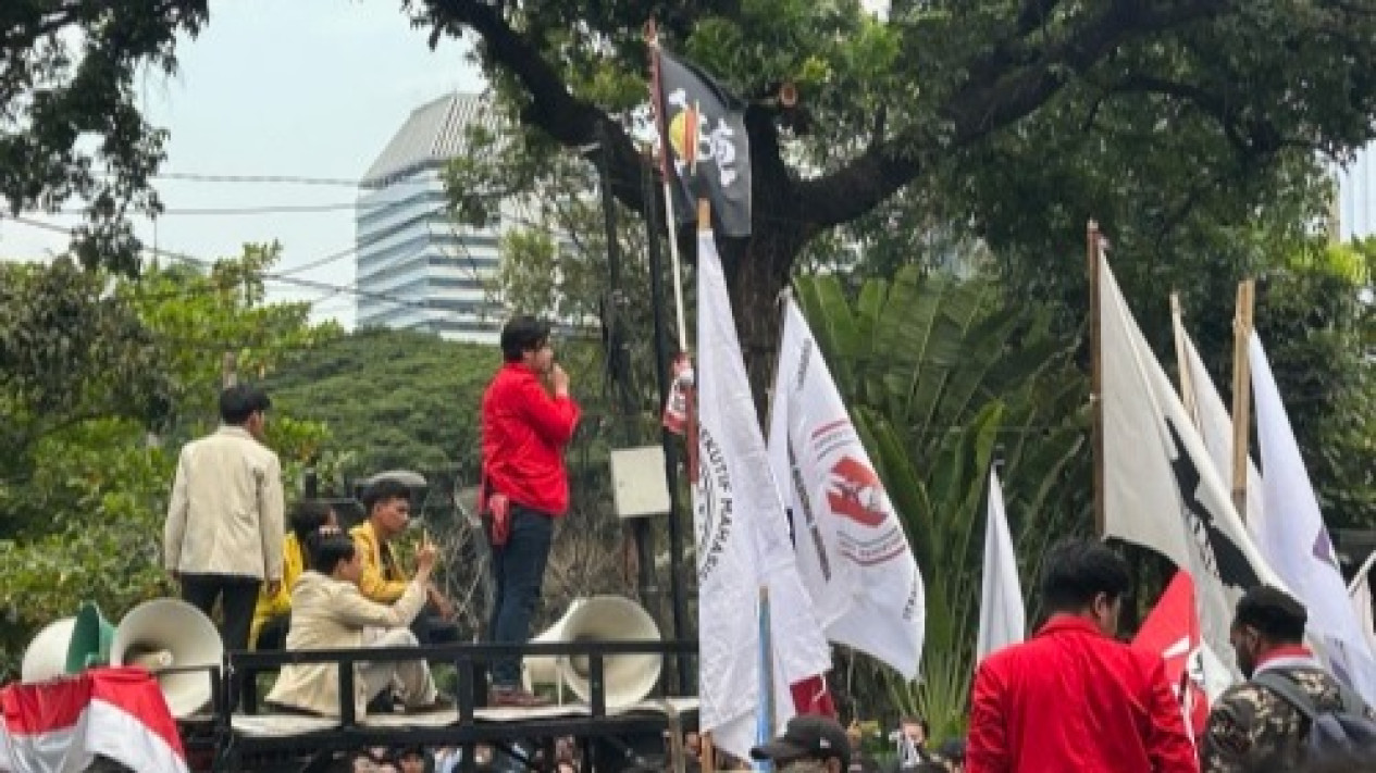 Nakama One Piece Beri Rapor Merah Untuk Pemerintahan Jokowi Bendera Bajak Laut Mugiwara