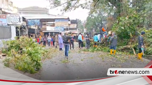 Pohon Tumbang Di Wilayah Bandung Menimpa Pemotor Hingga Menutup Jalur Kereta Api