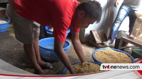 Harga Kedelai Tembus Rp.13 Ribu Per Kilogram, Perajin Tempe Di Tegal ...