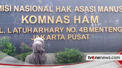 Relawan Harus Aktif Pantau Proses Pemilu, Ini Panduan yang Diberikan Komnas HAM