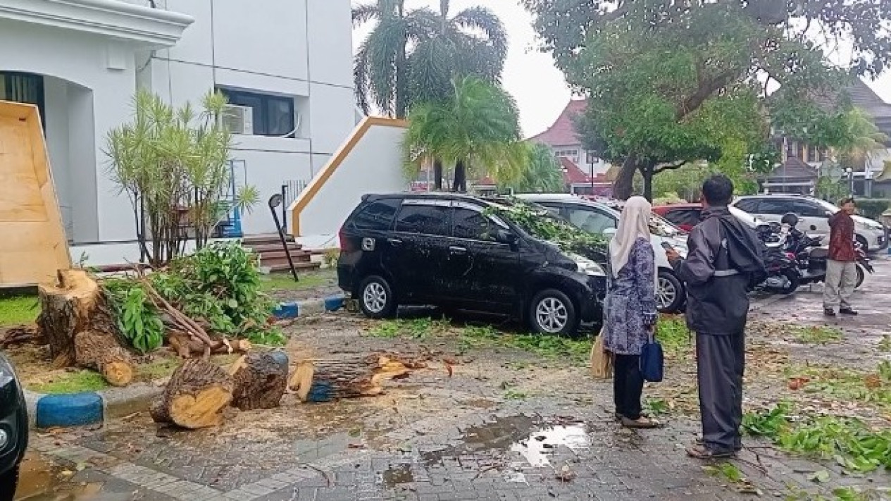 Hujan Deras Angin Kencang Akibatkan Pohon Tumbang Timpa Mobil Dinas Pemkab Ponorogo