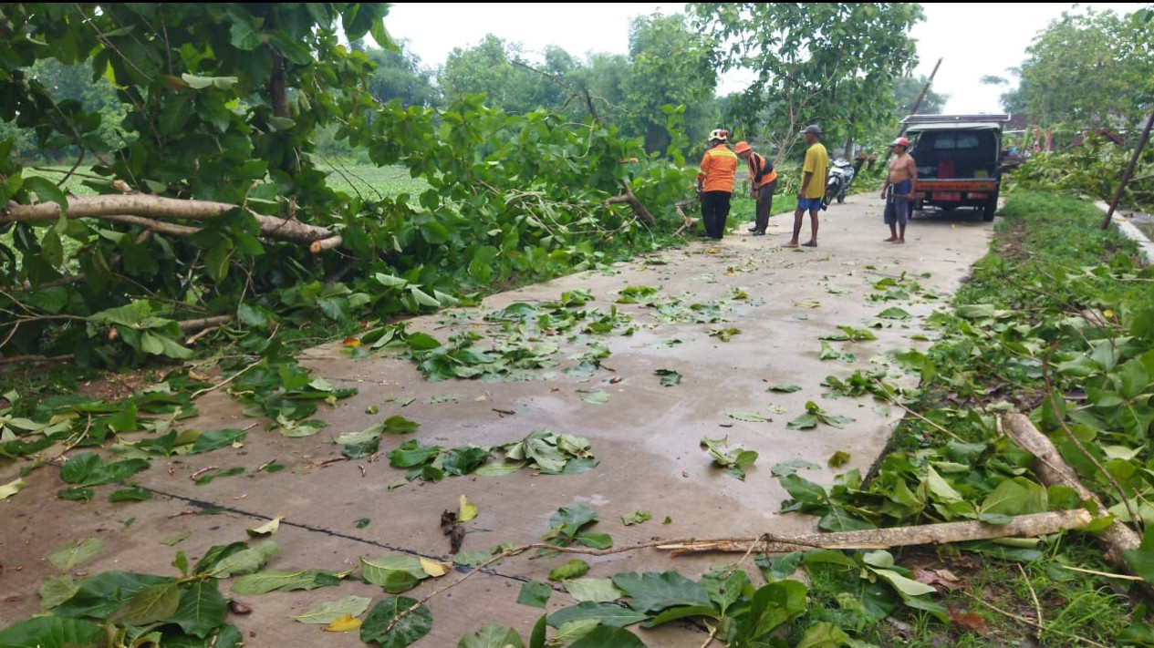 Hujan Deras Disertai Angin Kencang Di Pati Rusak 7 Rumah Dan Tumbangkan