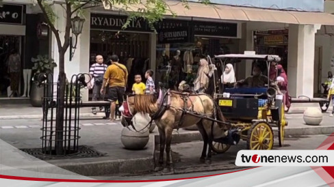 Libur Nataru, Kawasan Malioboro, Taman Pintar Hingga Gembira Loka Zoo ...