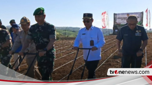 PKS: Harga Pangan Melambung Tinggi Gara-gara Gagalnya Program Food Estate