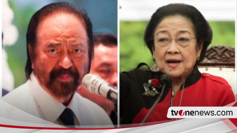 Megawati Dan Surya Paloh Diisukan Bertemu Dalam Waktu Dekat, Ini Kata Hasto