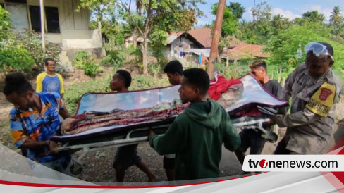 4 Pengungsi Erupsi Lewotobi Meninggal Di Tenda Pengungsian