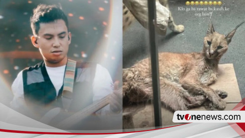 Disebut Terlantarkan Kucing Carcal Hingga Meninggal, Mantan Suami Rachel Venya, Okin: Bukan Hak Saya Lagi