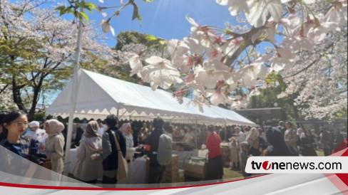 Indahnya Idul Fitri di Jepang Bertepatan Bunga Sakura Bermekaran