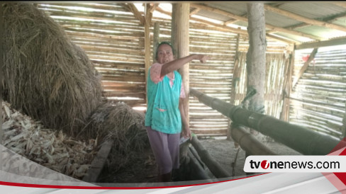 Misterius! Belasan Sapi Di Nganjuk Jawa Timur Mendadak Mati, Peternak ...