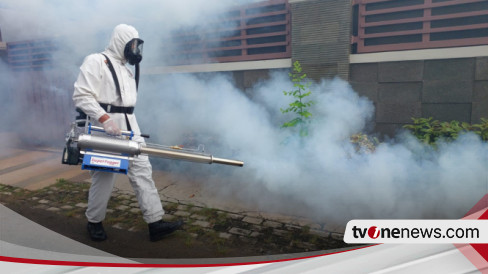 Kasus Dbd Di Lampung Meningkat Tercatat Kasus Ditemukan Dengan Orang Meninggal Dunia