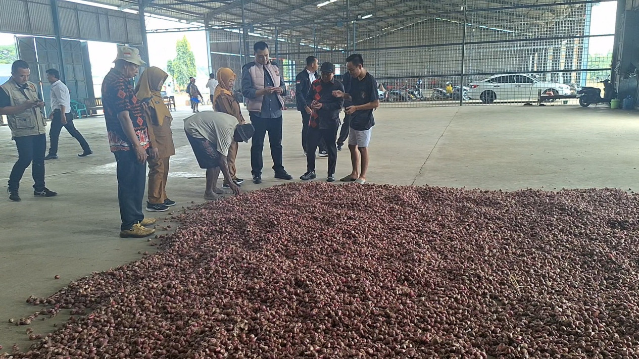 Harga Melonjak, Satgas Pangan Bareskrim Sidak Sejumlah Gudang Bawang Merah di Brebes
            - galeri foto