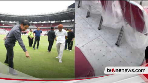 Ini Kondisi Terbaru Rumput Di Stadion GBK Jelang Kualifikasi Piala ...