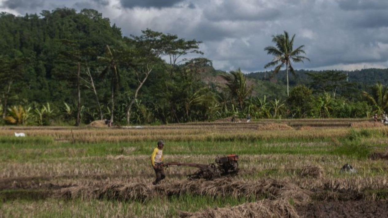 Dukung Produksi Pangan, Pemprov Banten Ajak Petani Percepat Gerakan Tanam
            - galeri foto