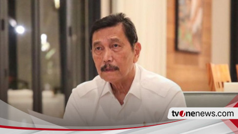 Menko Luhut Soal Mundurnya Kepala Wakil Kepala Oikn Ikn Itu Tidak Ada