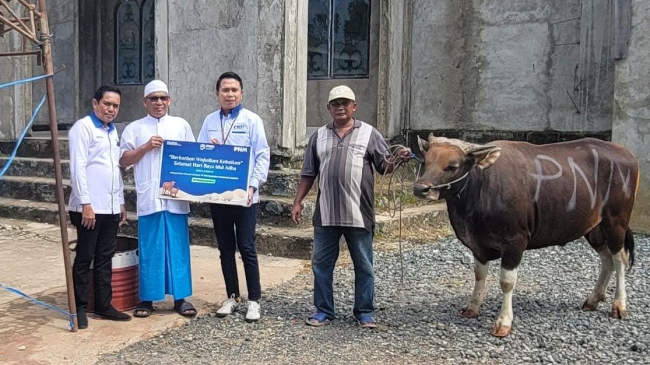 Idul Adha 2024, PNM Optimalkan Penyaluran Hewan Kurban di Daerah Tertinggal
            - galeri foto