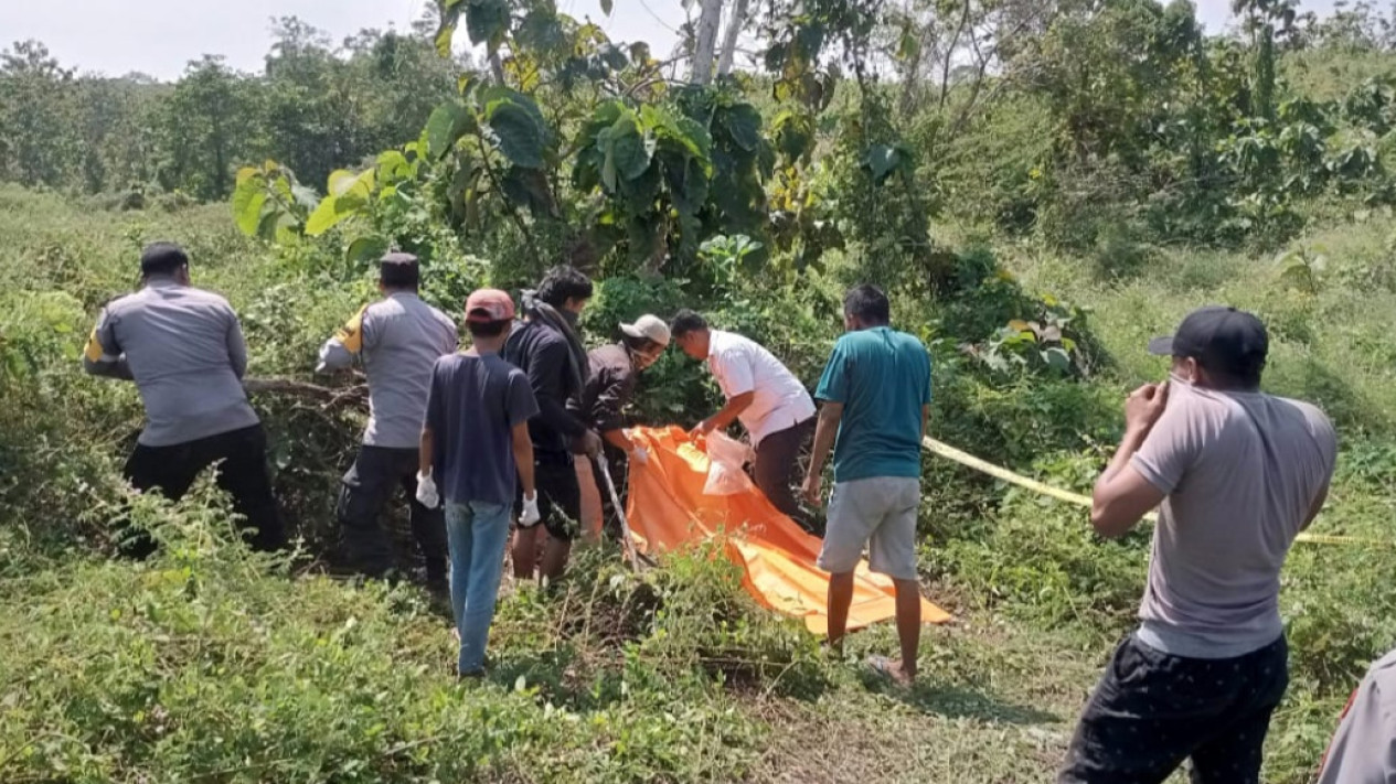 Mayat Perempuan Tanpa Identitas dan Membusuk Ditemukan di Tengah Hutan Jatikalen Nganjuk
            - galeri foto