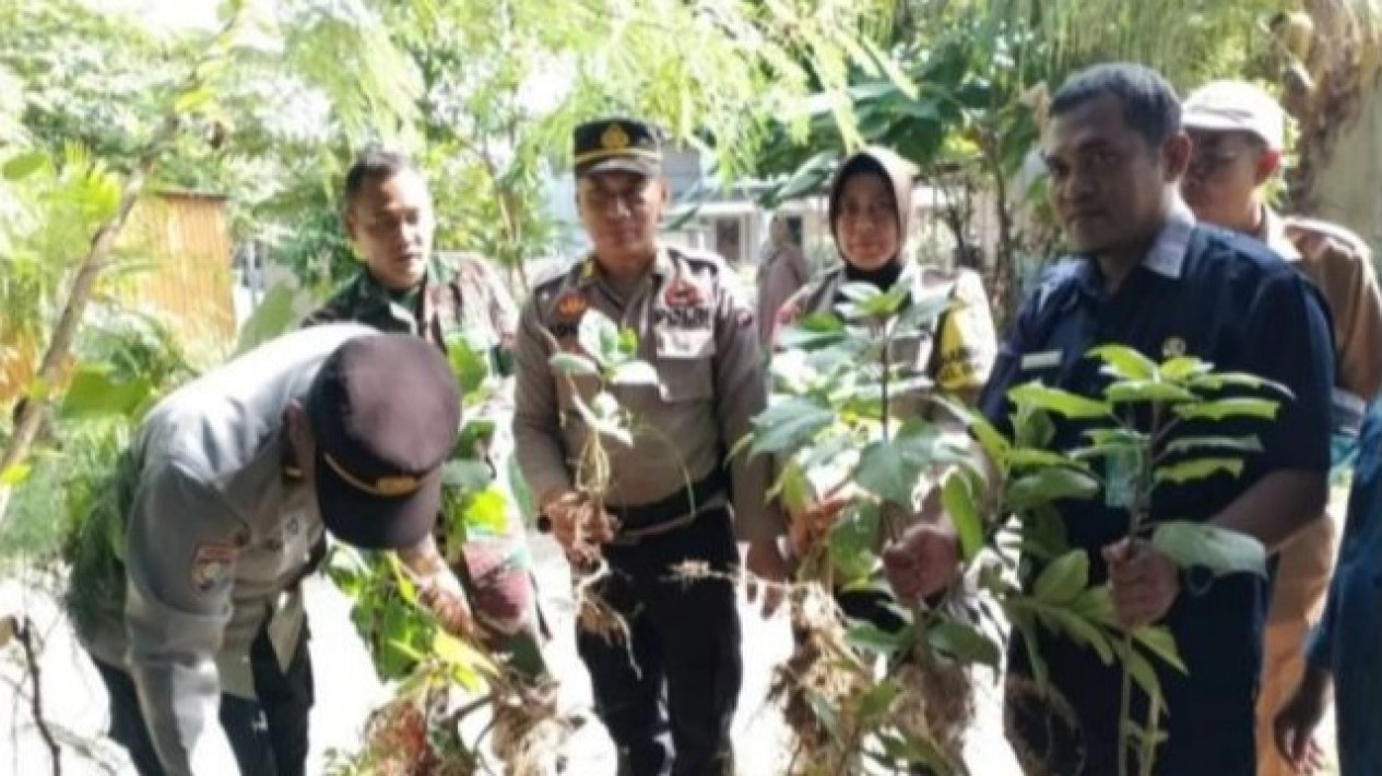 Buntut 50 Orang Mabuk Kecubung, Polres Banjarbaru Musnahkan Tanaman Kecubung
            - galeri foto