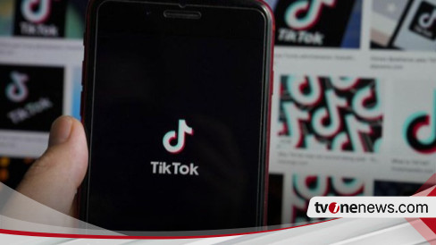 Komisi VI DPR: TikTok Perusahaan China, Kemanan Data Harus Jadi Perhatian