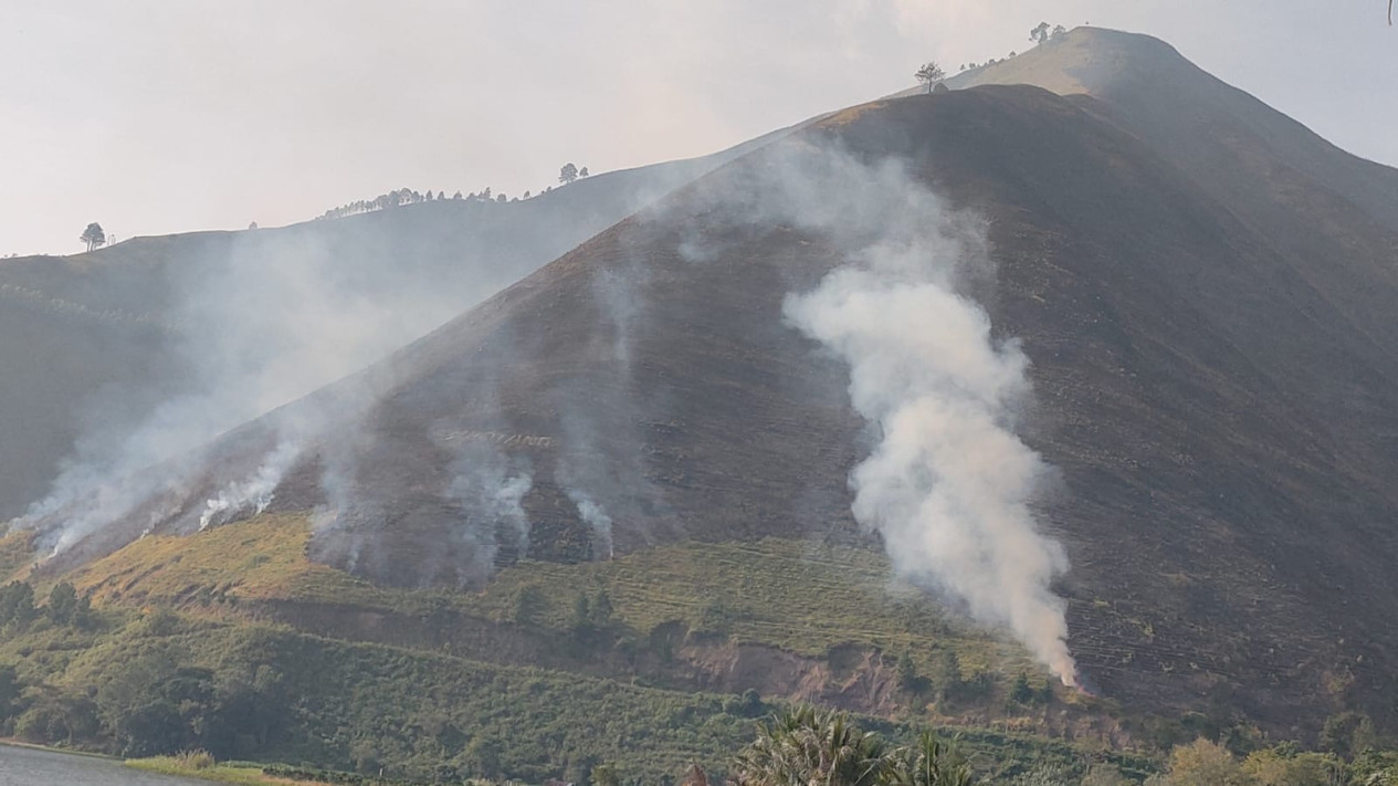 Sempat Padam, Kawasan Hutan dan Perbukitan Samosir Kembali Terbakar
            - galeri foto