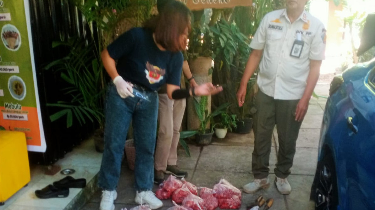 Sidak Pedagang Daging Anjing, Satpol PP Bali Sita 500 Tusuk Sate dan 56 Kg Daging Mentah
            - galeri foto