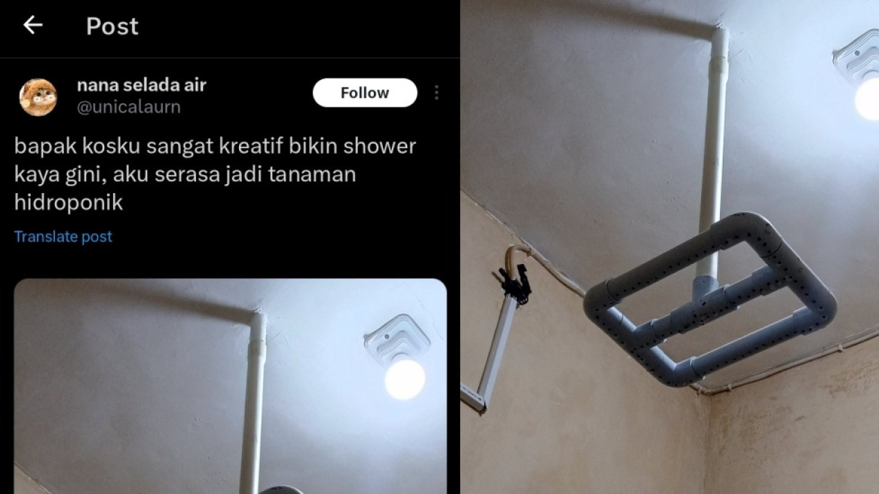 Bapak Kos Viral Bikin Shower Mandi Unik dari Paralon bak Bercocok Tanam Hidroponik: Serasa Jadi Sayuran
            - galeri foto