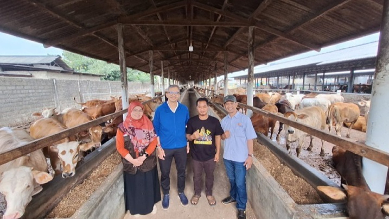 Berdayakan Peternak, LAZNAS Bakrie Amanah Gelar Peresmian Program Agri Zakat Budidaya Sapi di Lampung Tengah
            - galeri foto