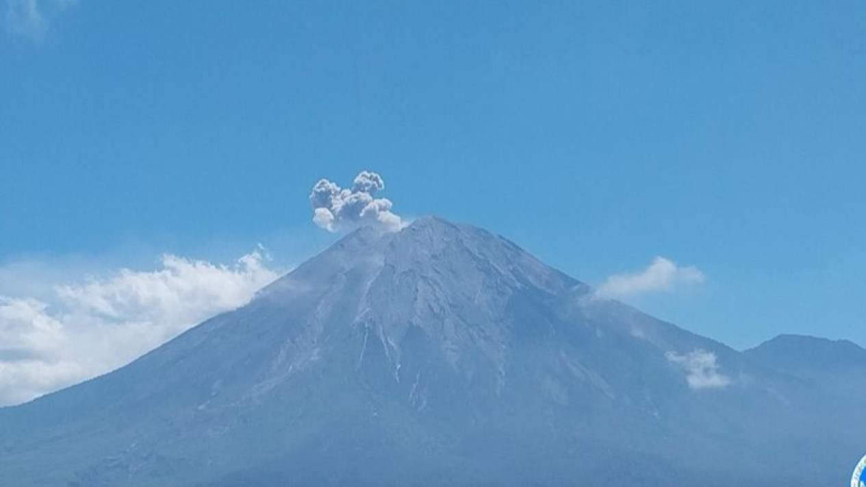 Minggu Siang, Letusan Erupsi Gunung Semeru Capai 700 Meter
            - galeri foto