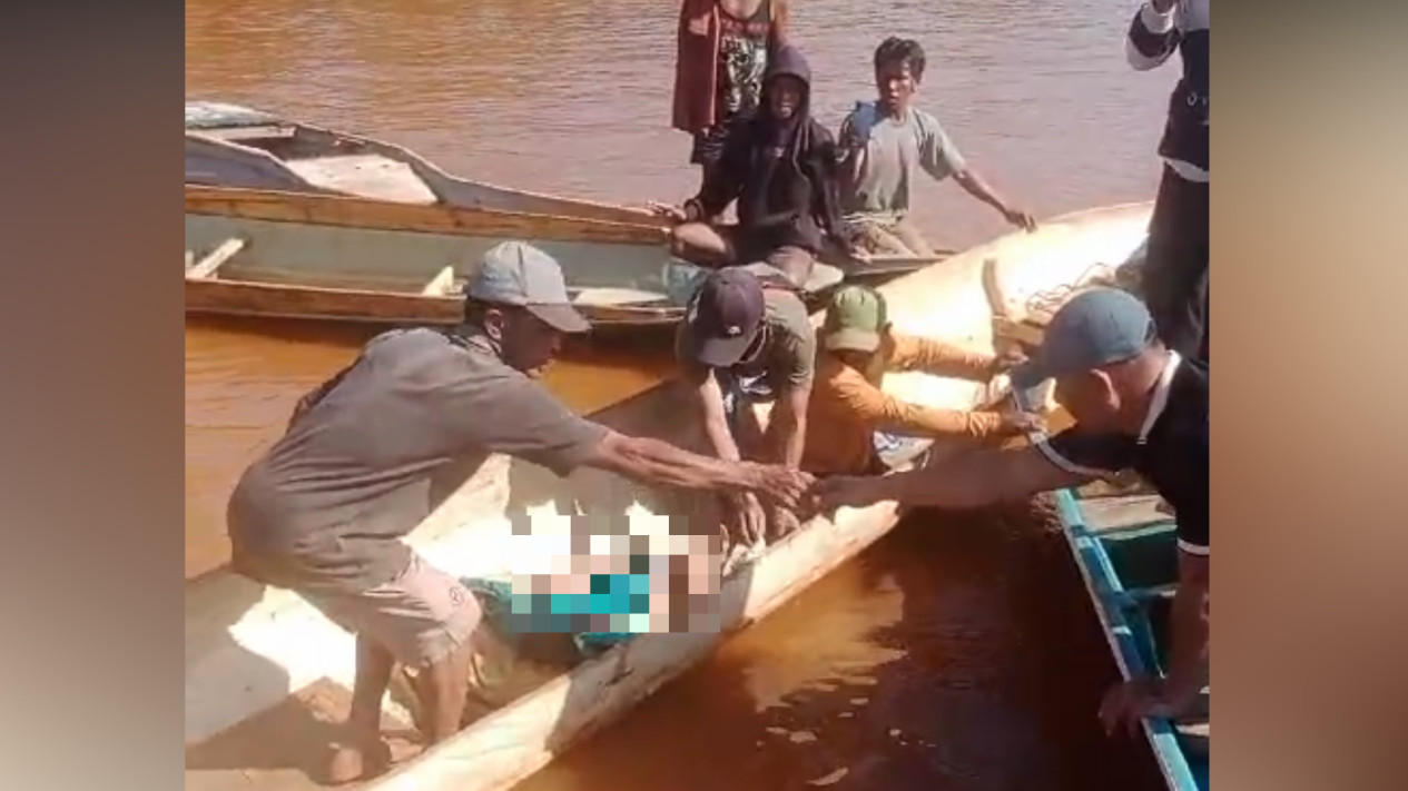 Cari Ikan di Sungai, Seorang Pria di Konawe Utara Tewas Diterkam Buaya
            - galeri foto