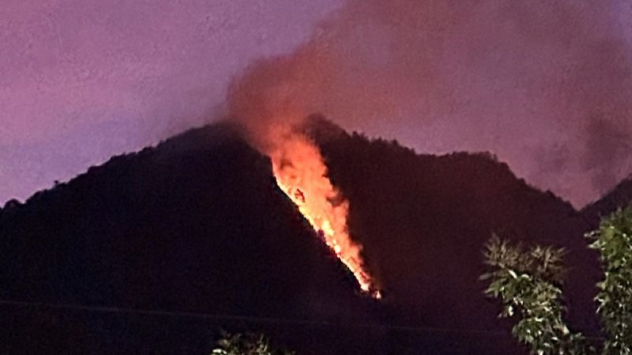 Kebakaran Melanda Kawasan Hutan di Lereng Gunung Telomoyo Kabupaten Semarang
            - galeri foto