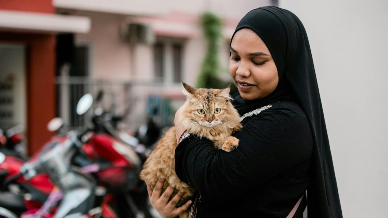 Jangan Pelihara Kucing Sekalipun Hewan Itu Lucu dan Menggemaskan, Ustaz Khalid Basalamah Tegas Bilang...
            - galeri foto