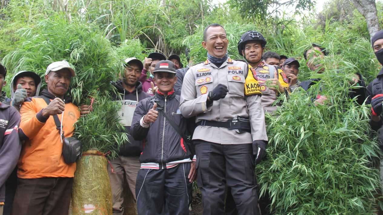 Area Pencarian Diperluas, Polisi Berhasil Amankan 10 Ribu Batang Tanaman Ganja dari 16 Titik Ladang di Kawasan TNBTS
            - galeri foto