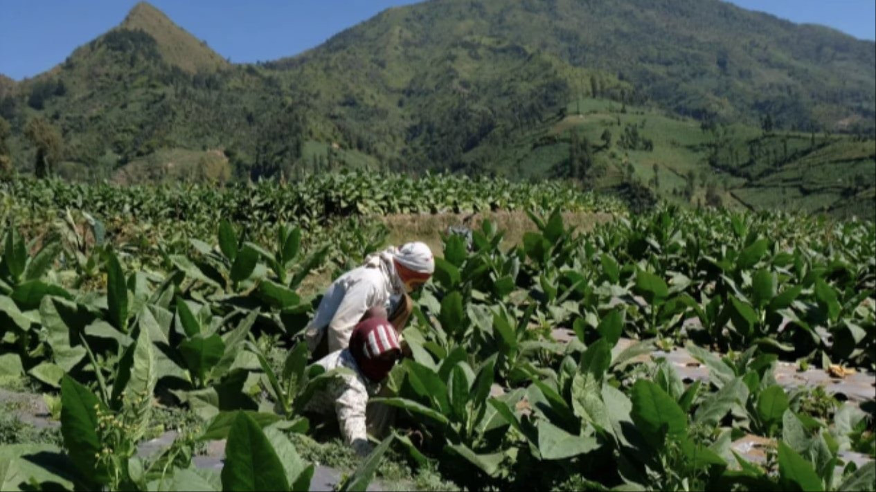 Peringatan HTN 2024 Diminta Perjuangkan Hak-hak Petani
            - galeri foto