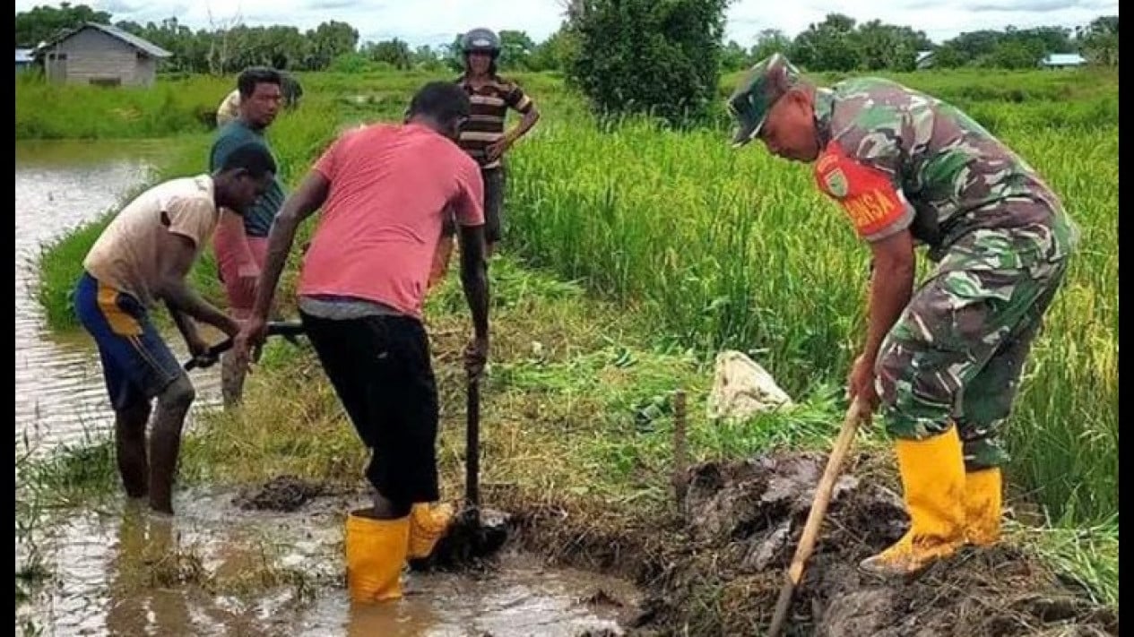 Pakar UGM Yakin Program Cetak Sawah Merauke Sukses: Potensi Sangat Bagus
            - galeri foto