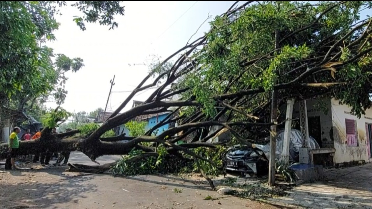 Diterjang Puting Beliung,  Belasan Rumah Warga di Magetan Rusak dan Tertimpa Pohon
            - galeri foto