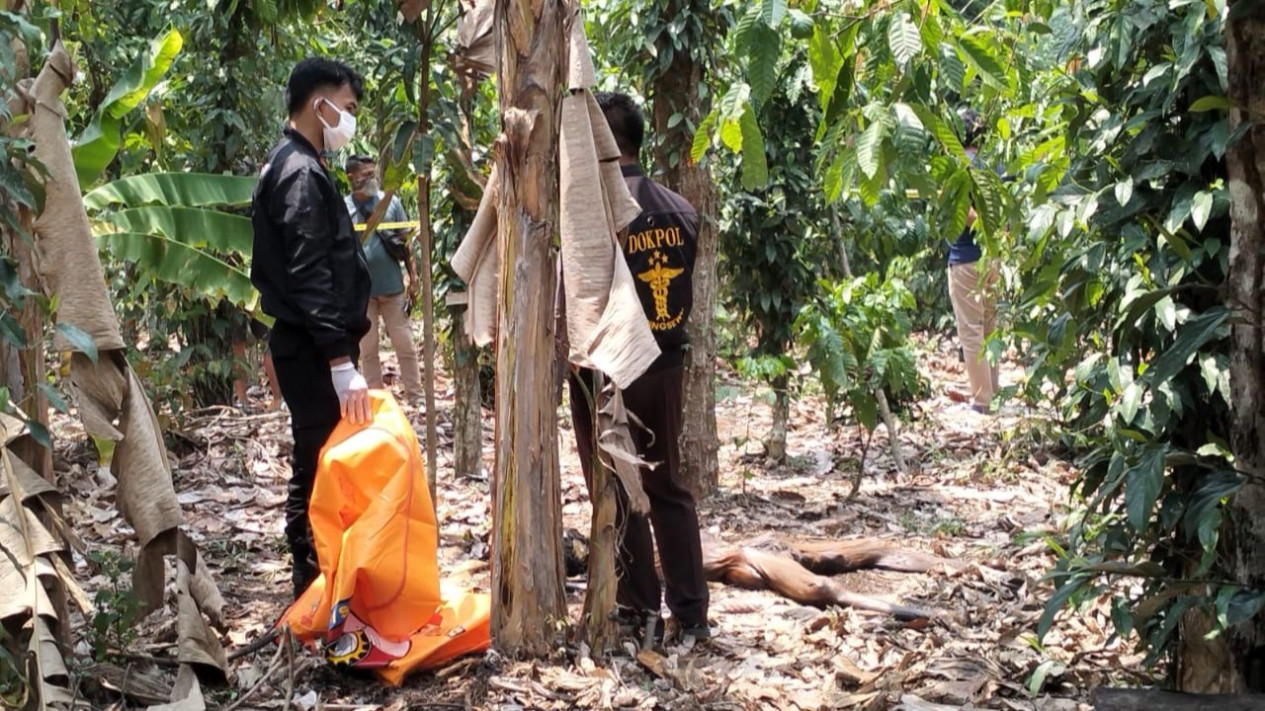 Geger! Penemuan Mayat Anonim Mengering di Kebun Pagelaran Pringsewu, Polisi Evakuasi dan Selidiki
            - galeri foto