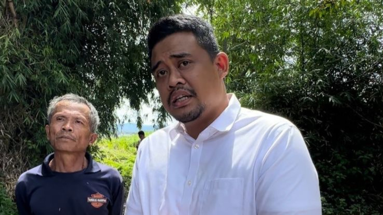 Bobby Nasution Tanggapi Pernyataan Edy Rahmayadi Tentang PDIP Besarkan Anak Harimau
            - galeri foto