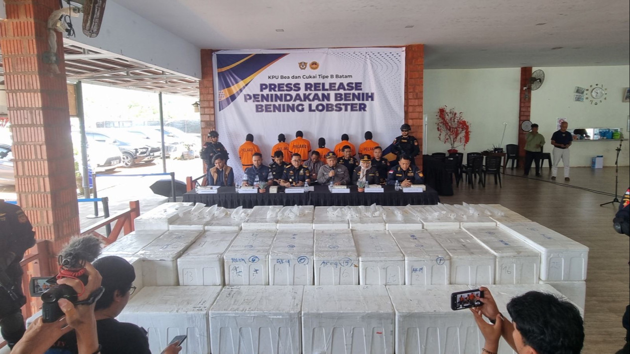 Bea Cukai Batam Ringkus 6 Orang Penyelundup Ratusan Ribu Bibit Lobster Asal Lampung
            - galeri foto