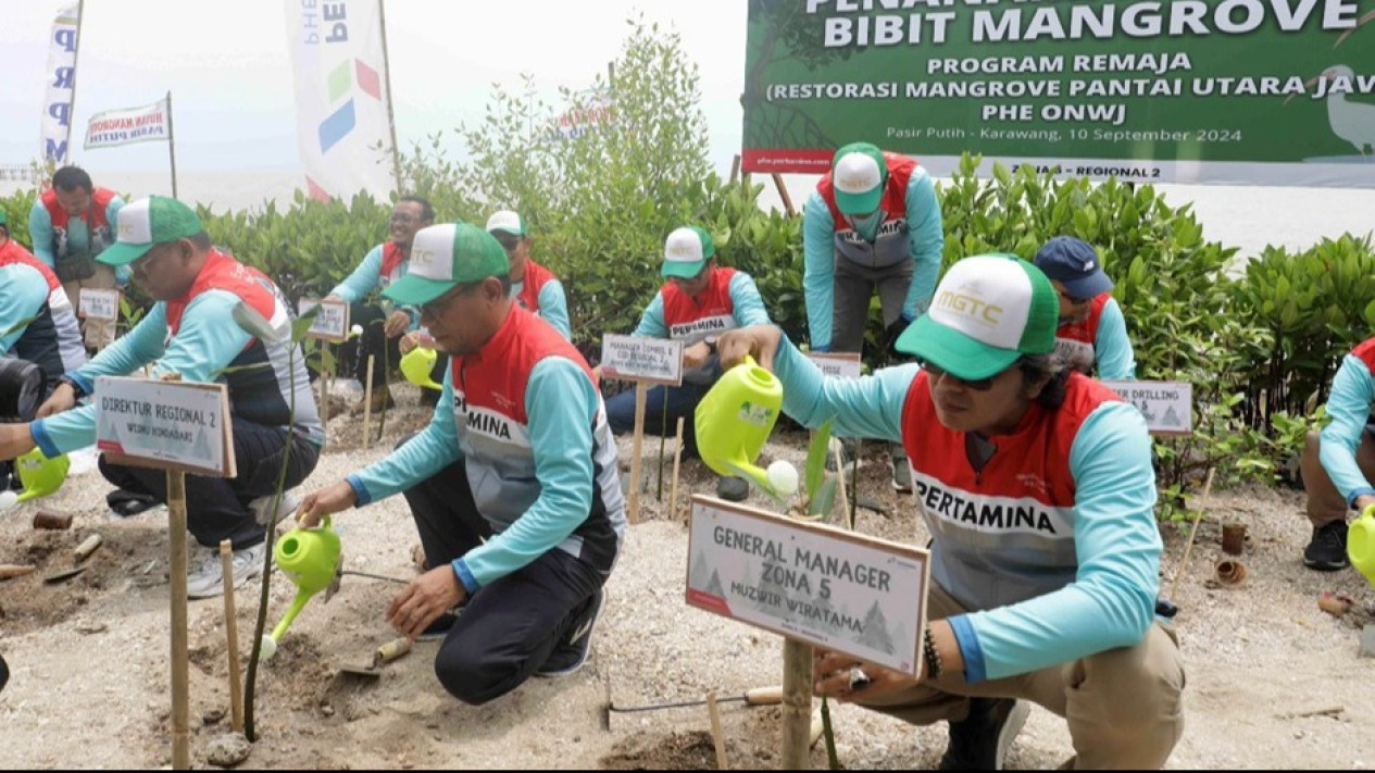 Prajurit Mangrove Pembawa Berkah Masyarakat Pesisir
            - galeri foto