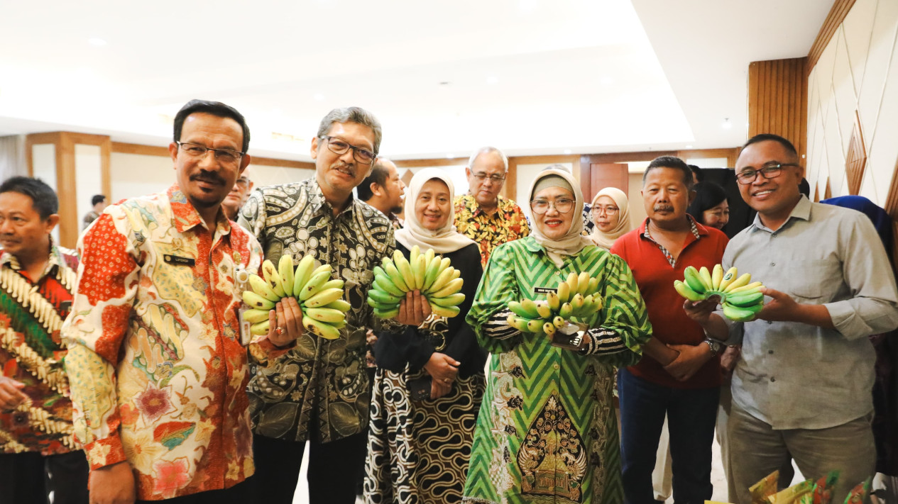 FAO Bawa Pisang Mas Kirana Tembus Pasar Internasional
            - galeri foto