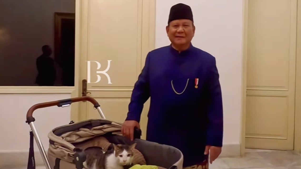 Pegang Tahta Tertinggi Perkucingan, Biaya Berobat Bobby Kertanegara Kucing Prabowo Bikin Elus Dada, Bisa Buat Makan Siang Gratis 13 Anak
            - galeri foto