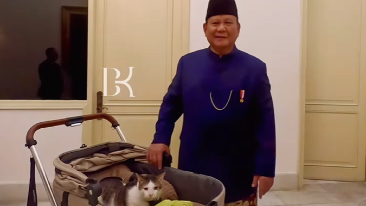 Dari Kertanegara ke Istana, Harga Pet Stroller Bobby Kucing Prabowo Bikin Melongo, Setara 3 Kali UMR Jakarta 
            - galeri foto